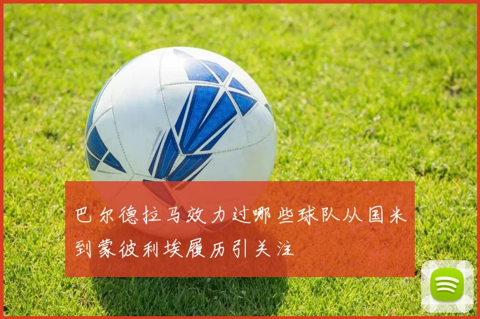 巴尔德拉马效力过哪些球队从国米到蒙彼利埃履历引关注